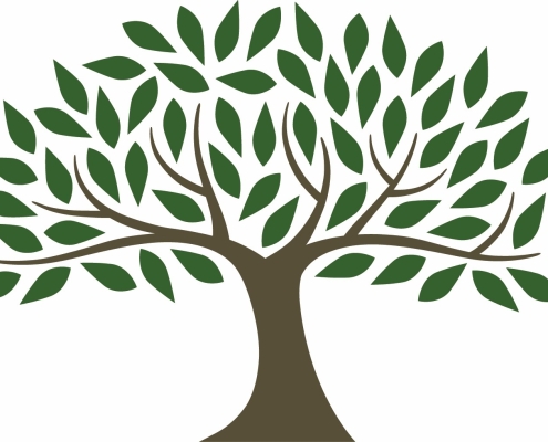 tree
