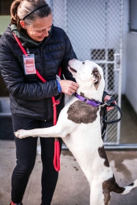 woman with dog on a leash